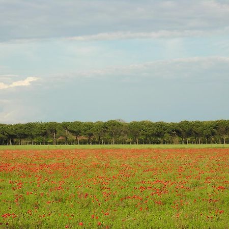 Appartamenti Mirella Bibione Zewnętrze zdjęcie